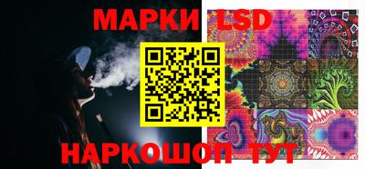 гидропоника Дубна