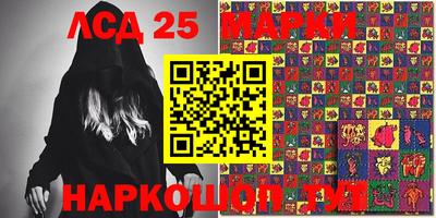 гидропоника Дубна