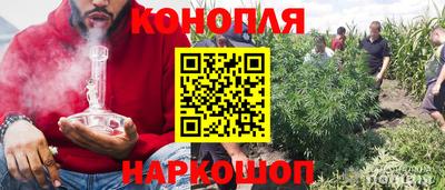 гидропоника Дубна