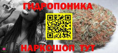 гидропоника Дубна